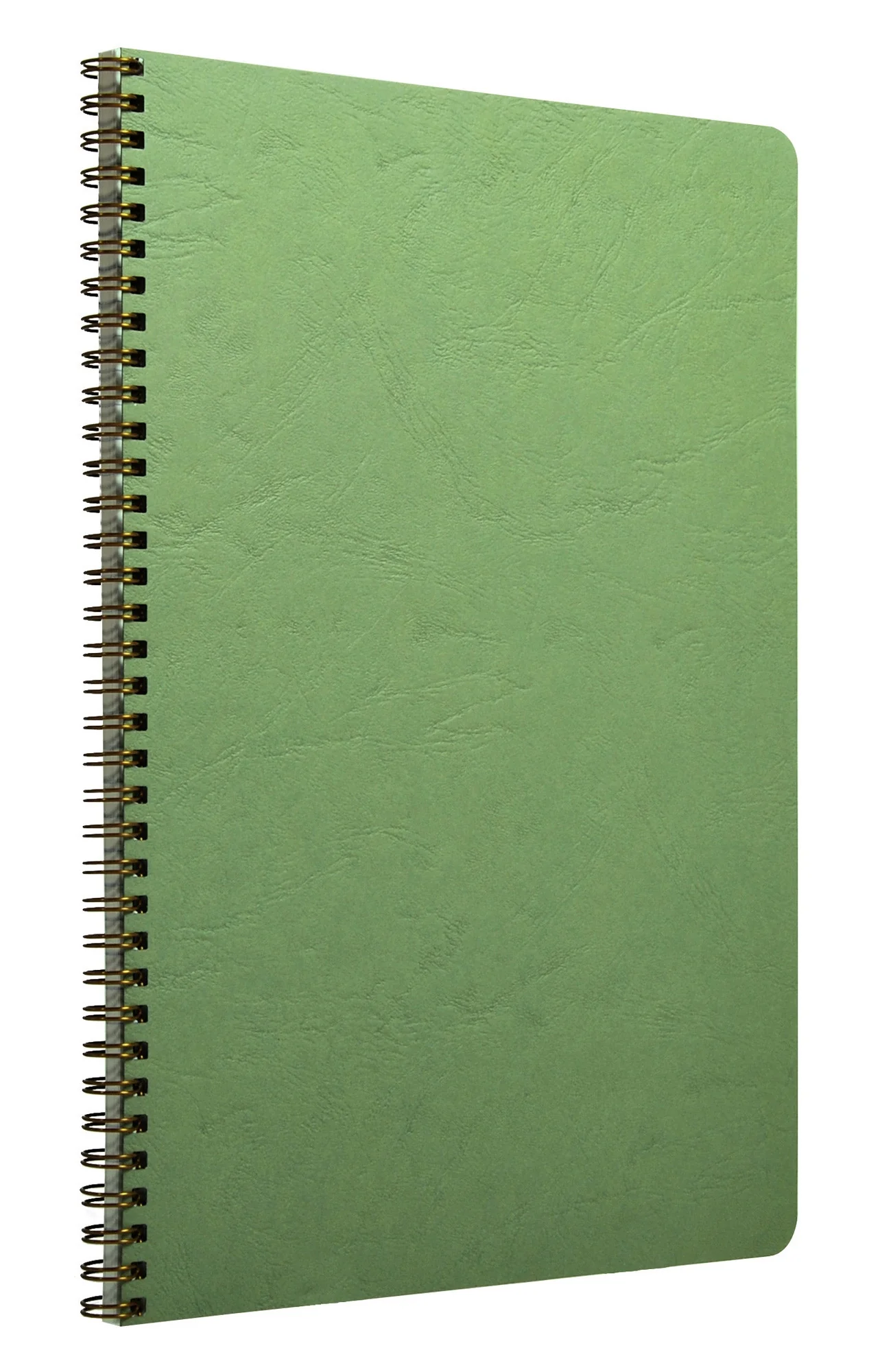 Clairefontaine Basics A4 Side Wirebound Notebook- Green, Lined - Image 2