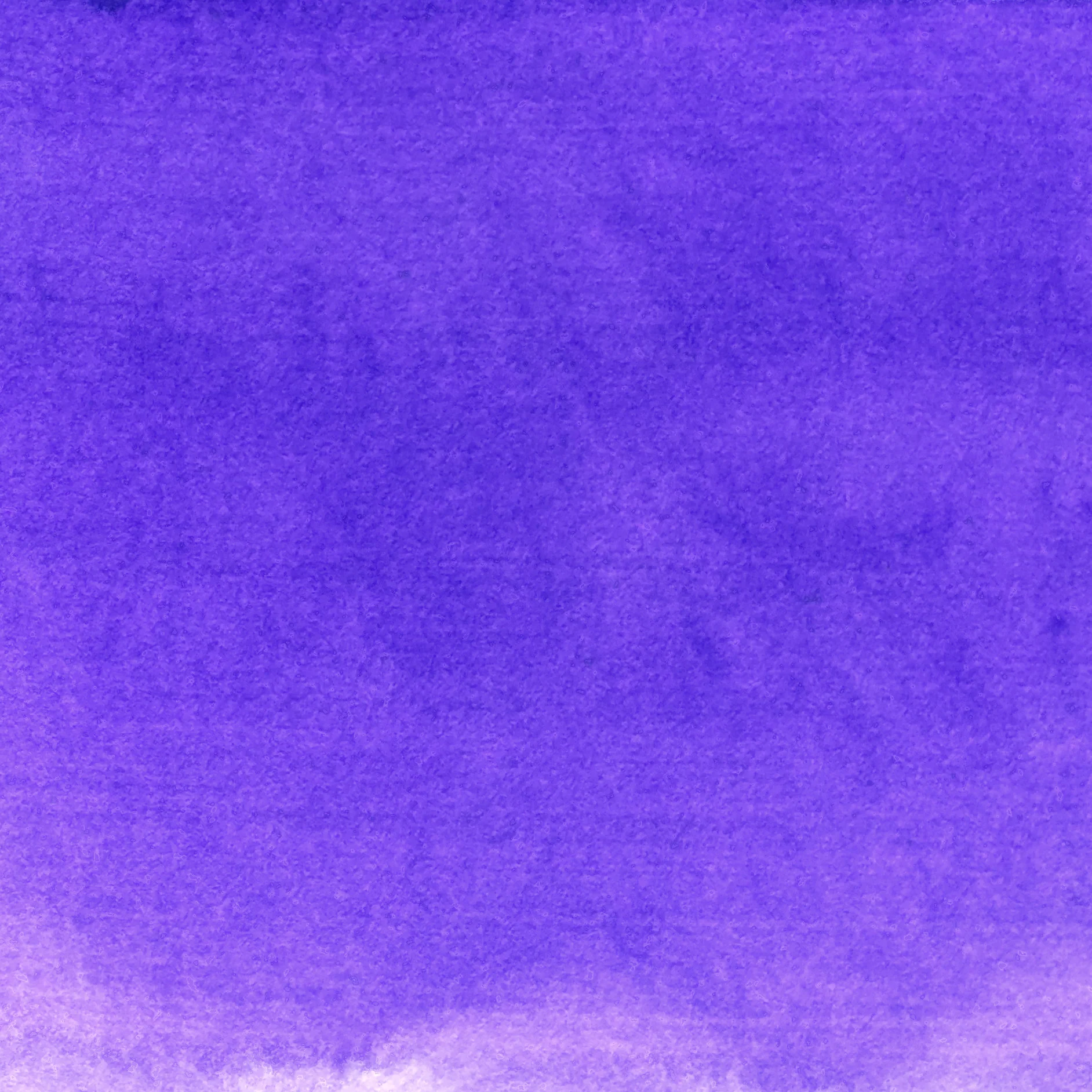 Pennonia Alkonyat Twilight - Image 2