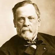 De Atramentis Louis Pasteur, Sahara Grey - Image 3