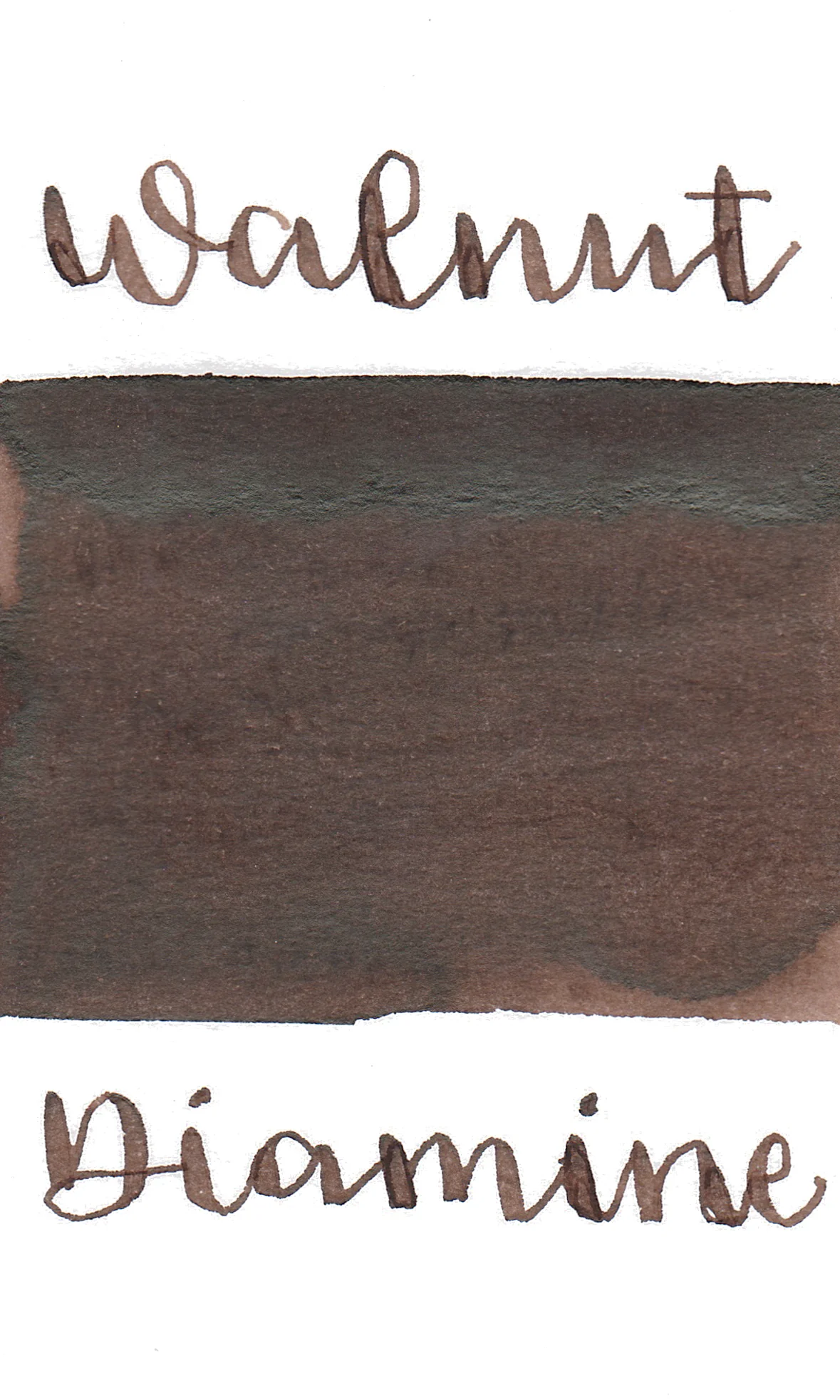 Diamine Purple Edition Standard Walnut - Image 2