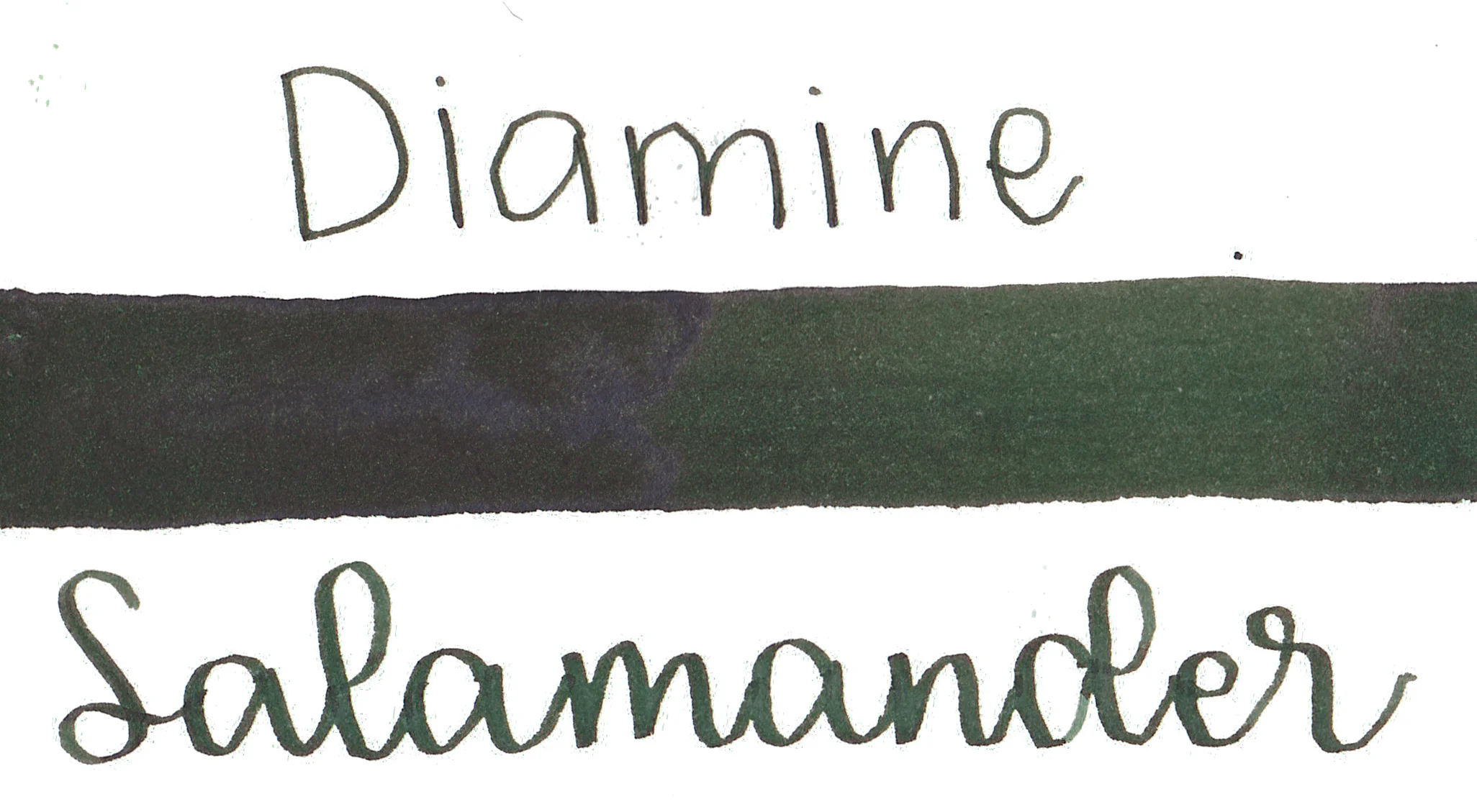 Diamine Salamander