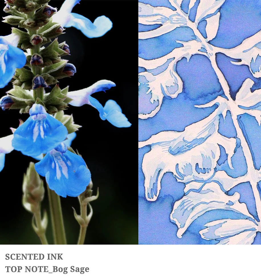 Dominant Industry - Twilight Garden Scented - Bog Sage (Top Note) - Image 3