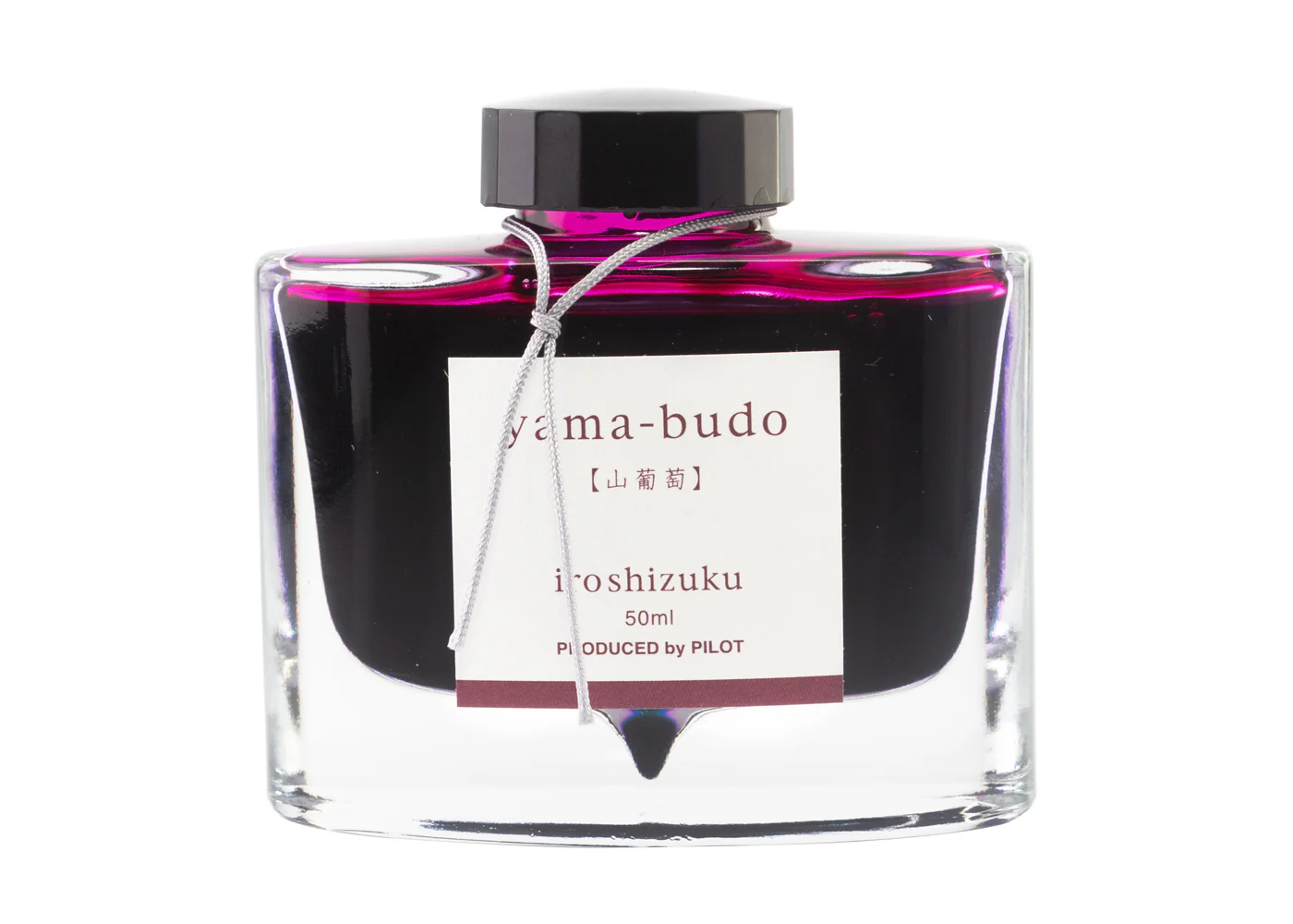 Pilot Iroshizuku Yama-Budo Ink - Image 3