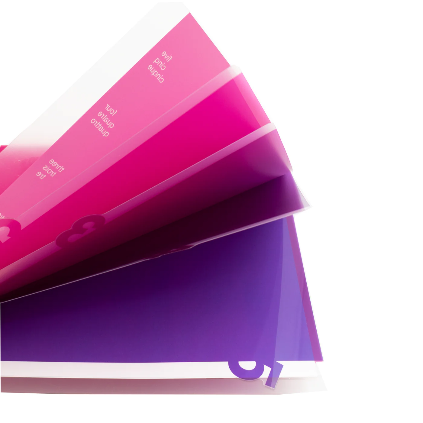Midori 5 Pocket Clear Folder A4 - Pink - Image 2