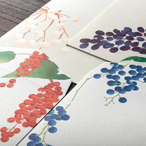 Midori Envelopes 001 Four Designs Winter Fruit - Image 6