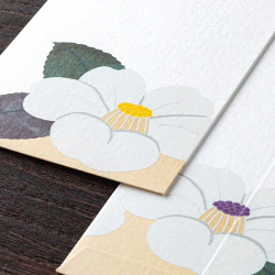 Midori Envelopes 092 Silk-printing White Camellia - Image 3