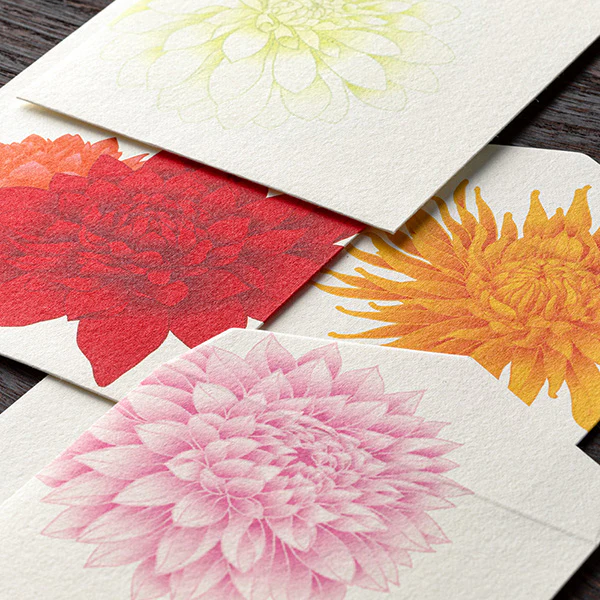 Midori Envelopes 142 Four Designs Dahlia - Image 6