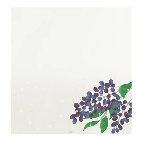 Midori Letter Pad 000 Four Designs Winter Fruit - Image 3