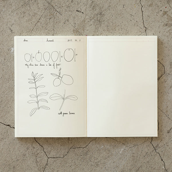 Midori MD A5 Notebook Journal- Frame - Image 4