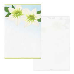 Midori Post Card 783 Foil Stamping Clematis