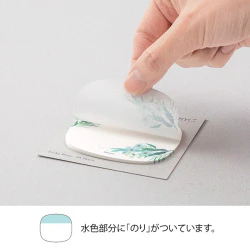 Midori Sticky Note Transparency - Leaves - Image 3