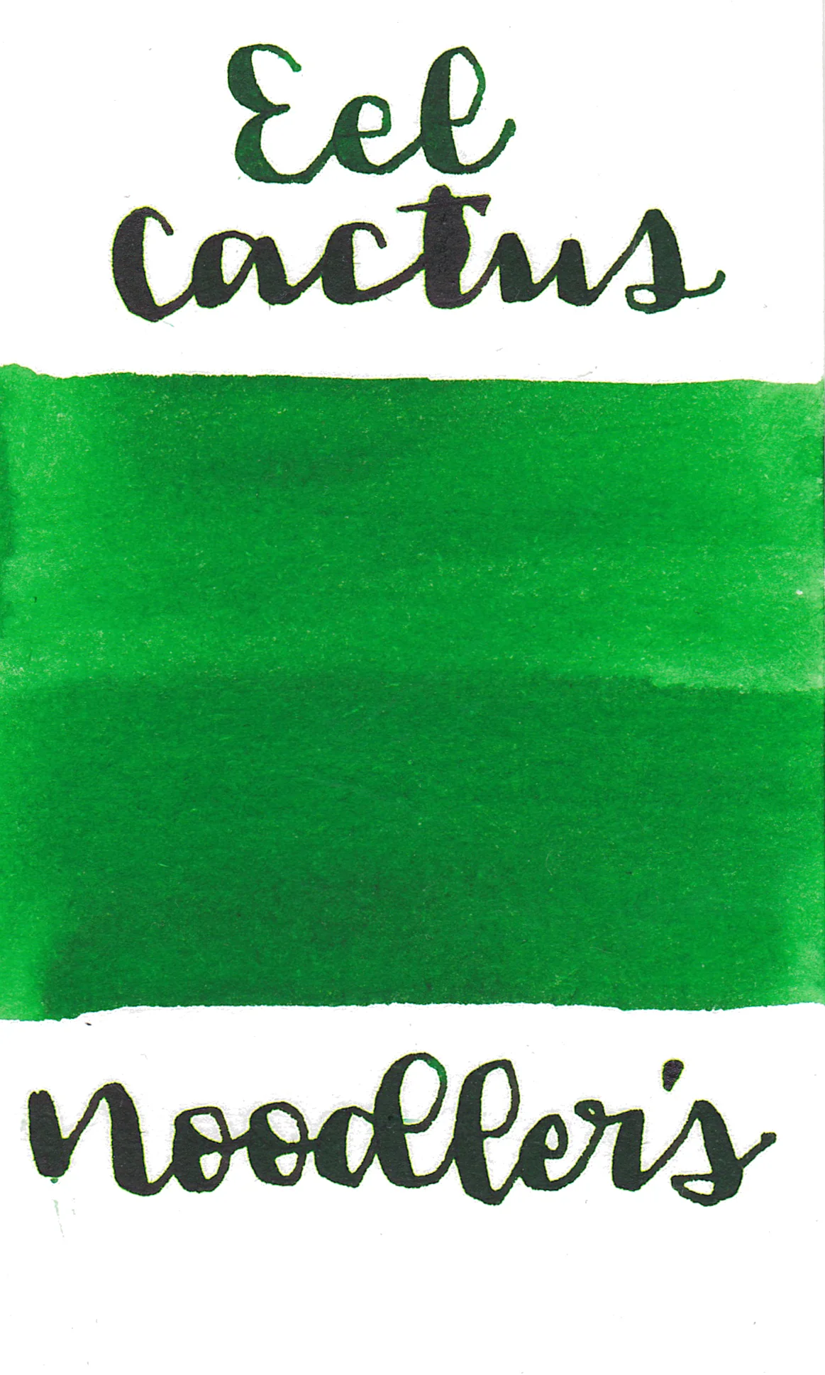 Noodler's Eel Gruene Cactus