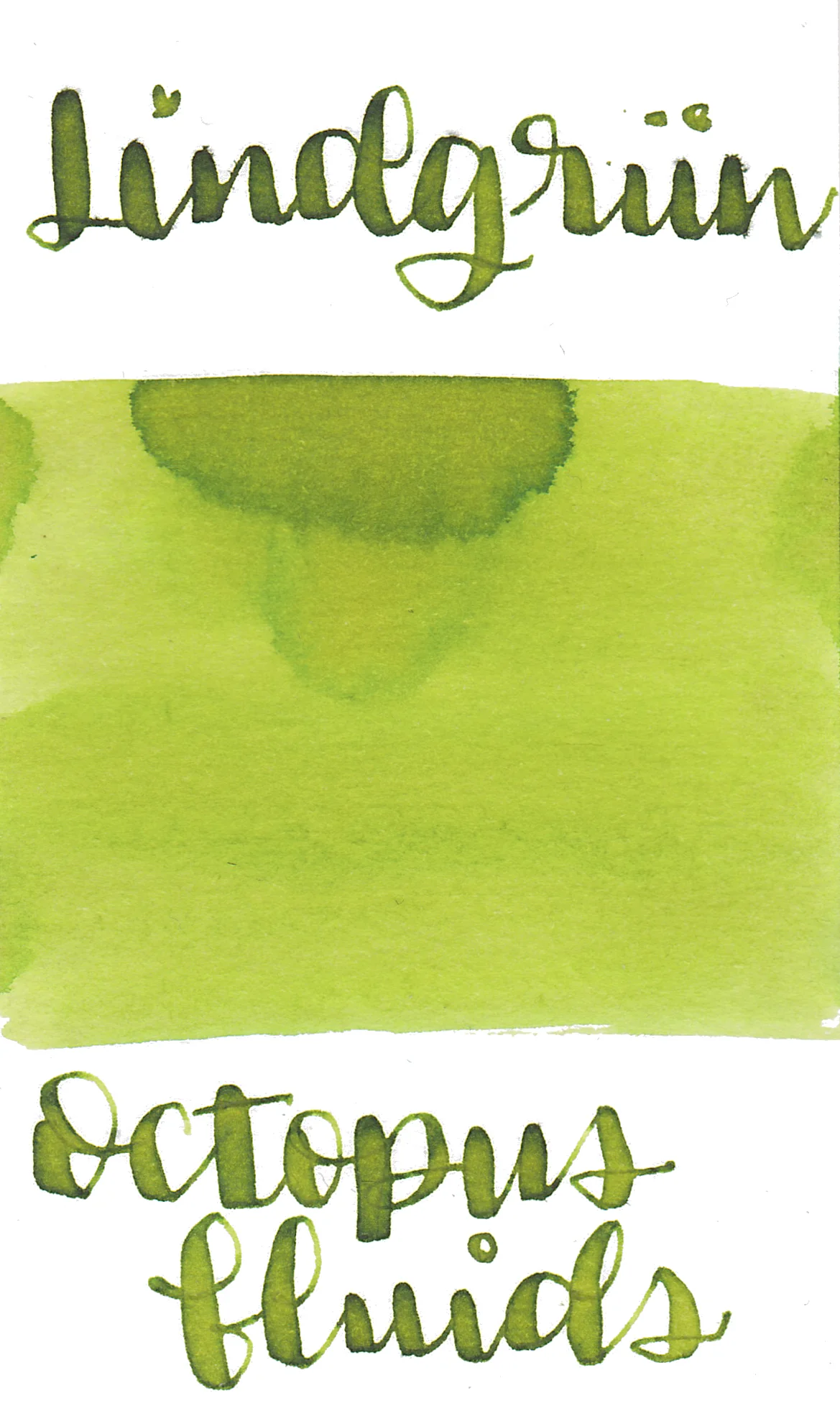 Octopus Lindgrun (Lime Green)