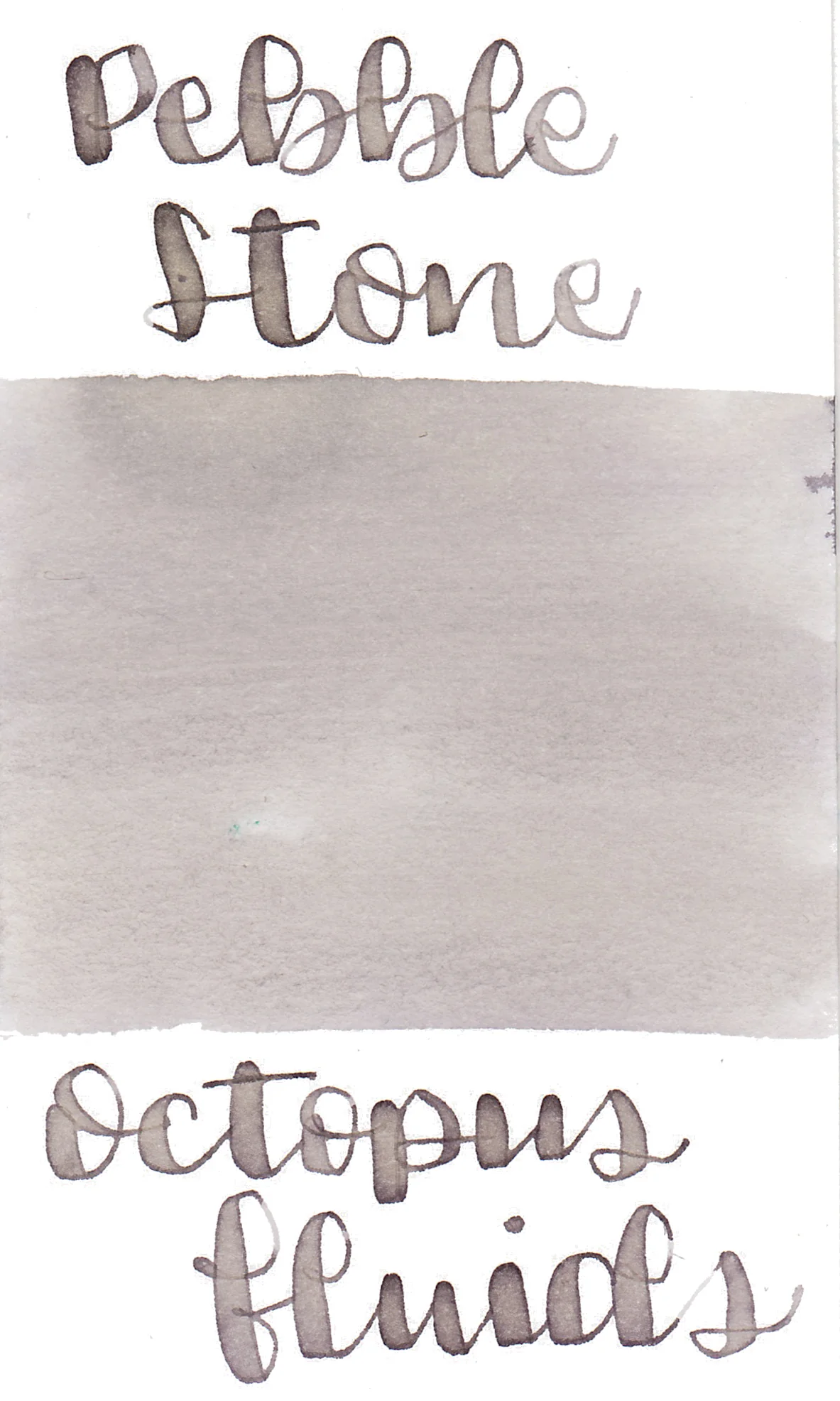 Octopus Pebble Stone Ink