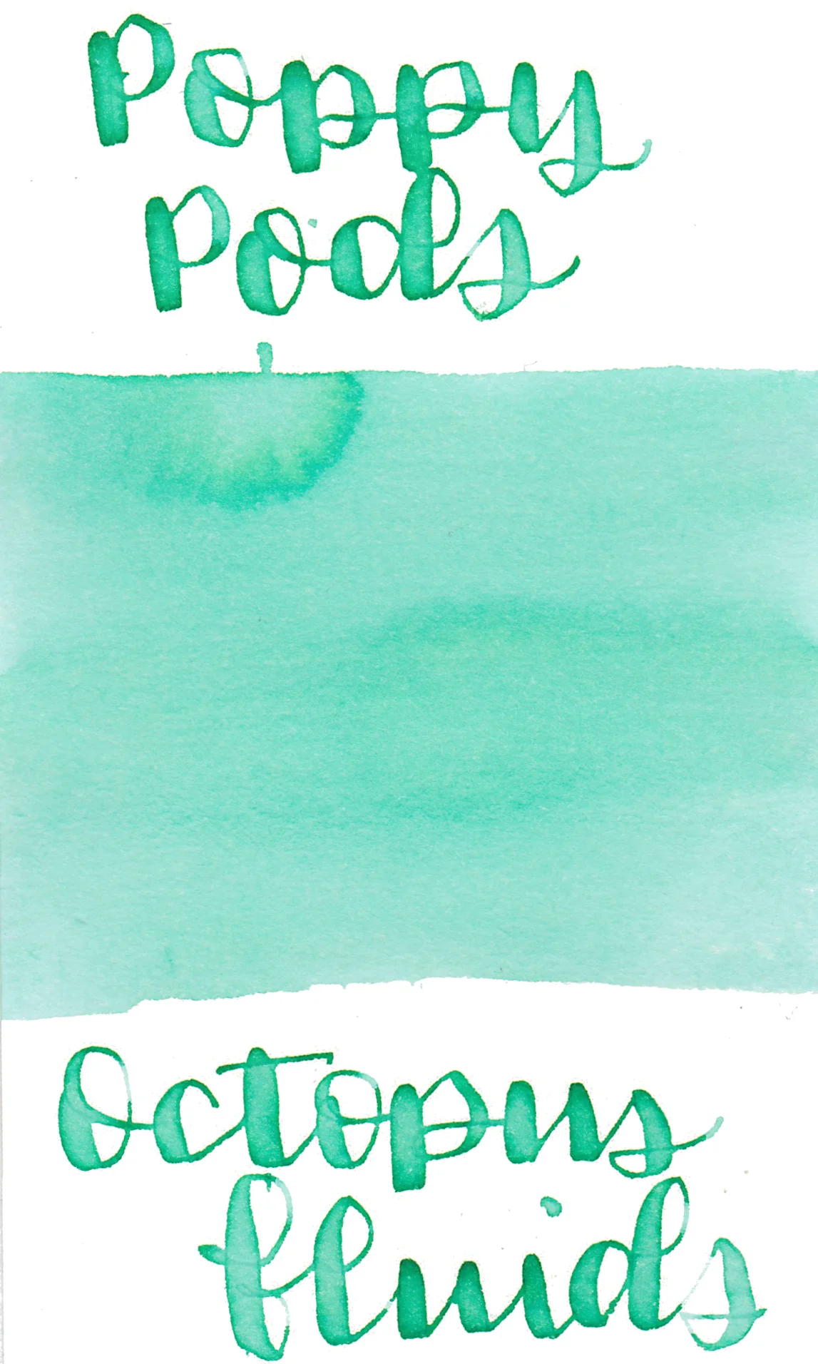 Octopus Poppy Pods Ink