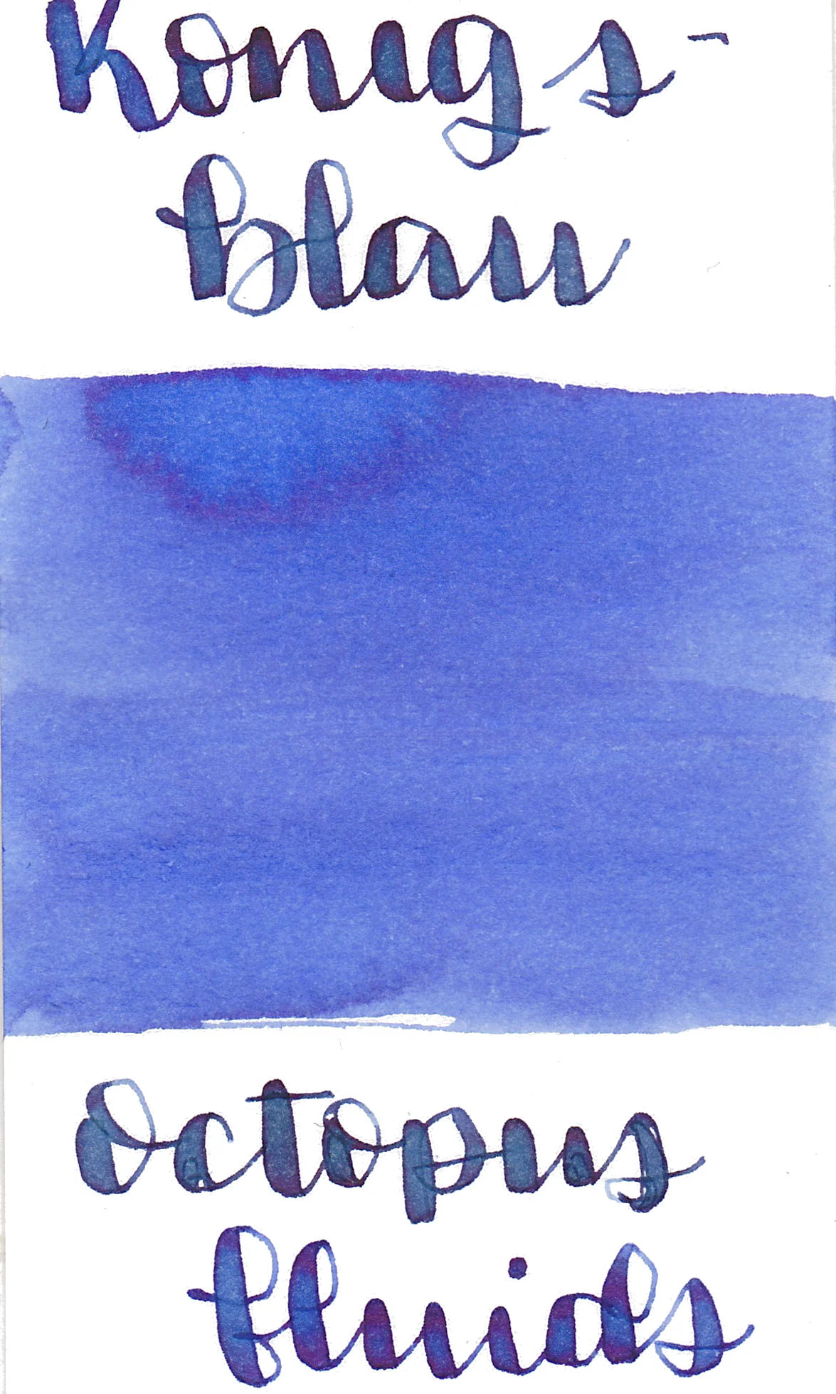 Octopus Konigsblau Royal Blue Ink (erasable)