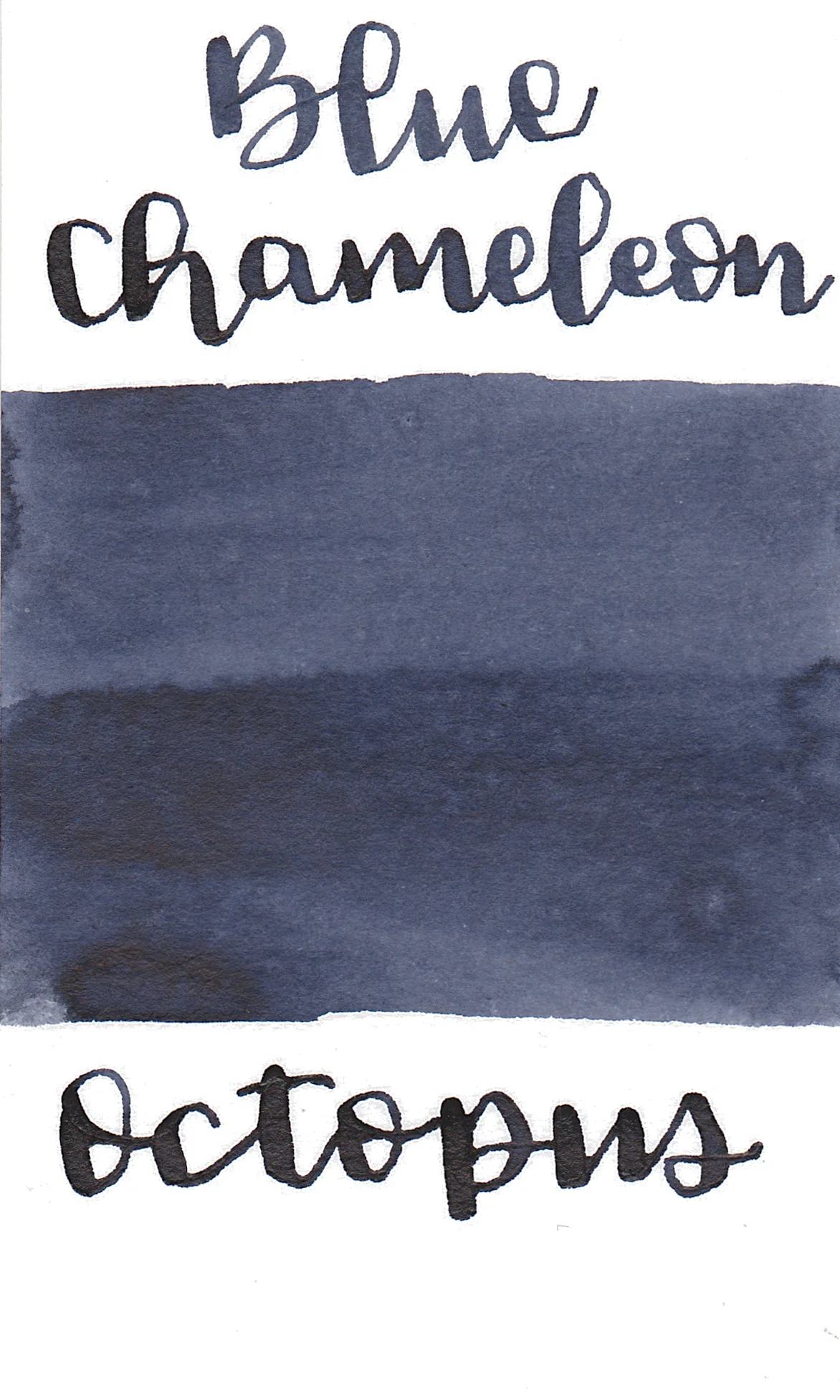 Octopus Write and Draw Ink 425 Blue Chameleon