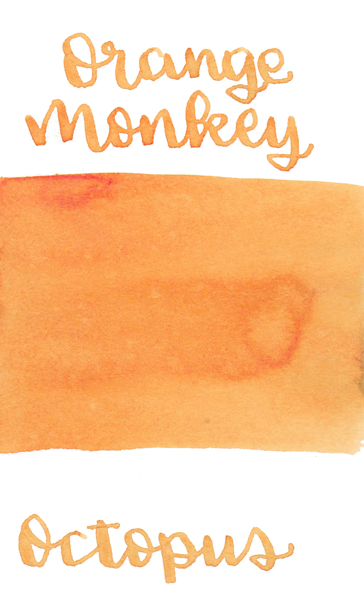 Octopus Write and Draw Ink 476 Orange Monkey
