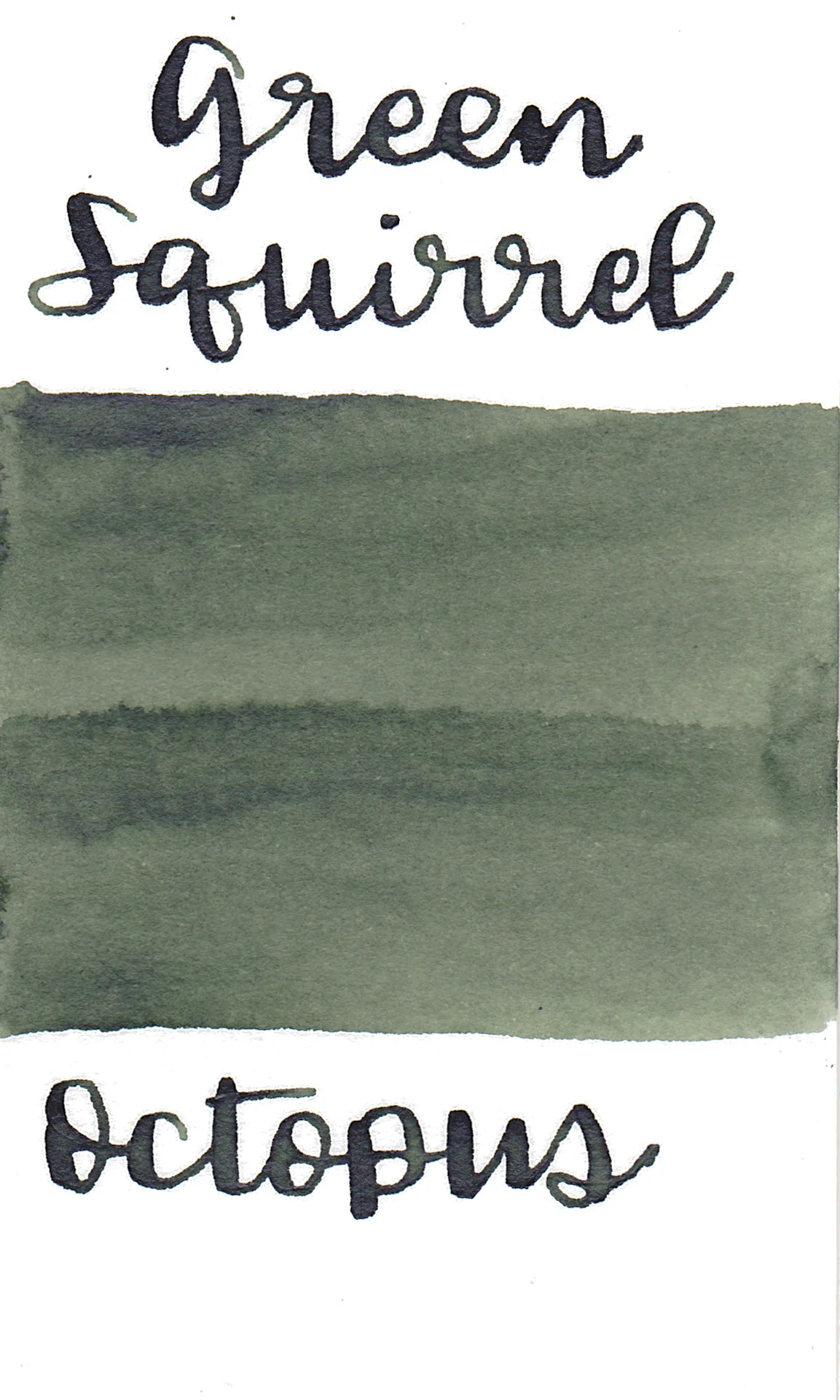 Octopus Write and Draw Ink 553 Green Squirrel