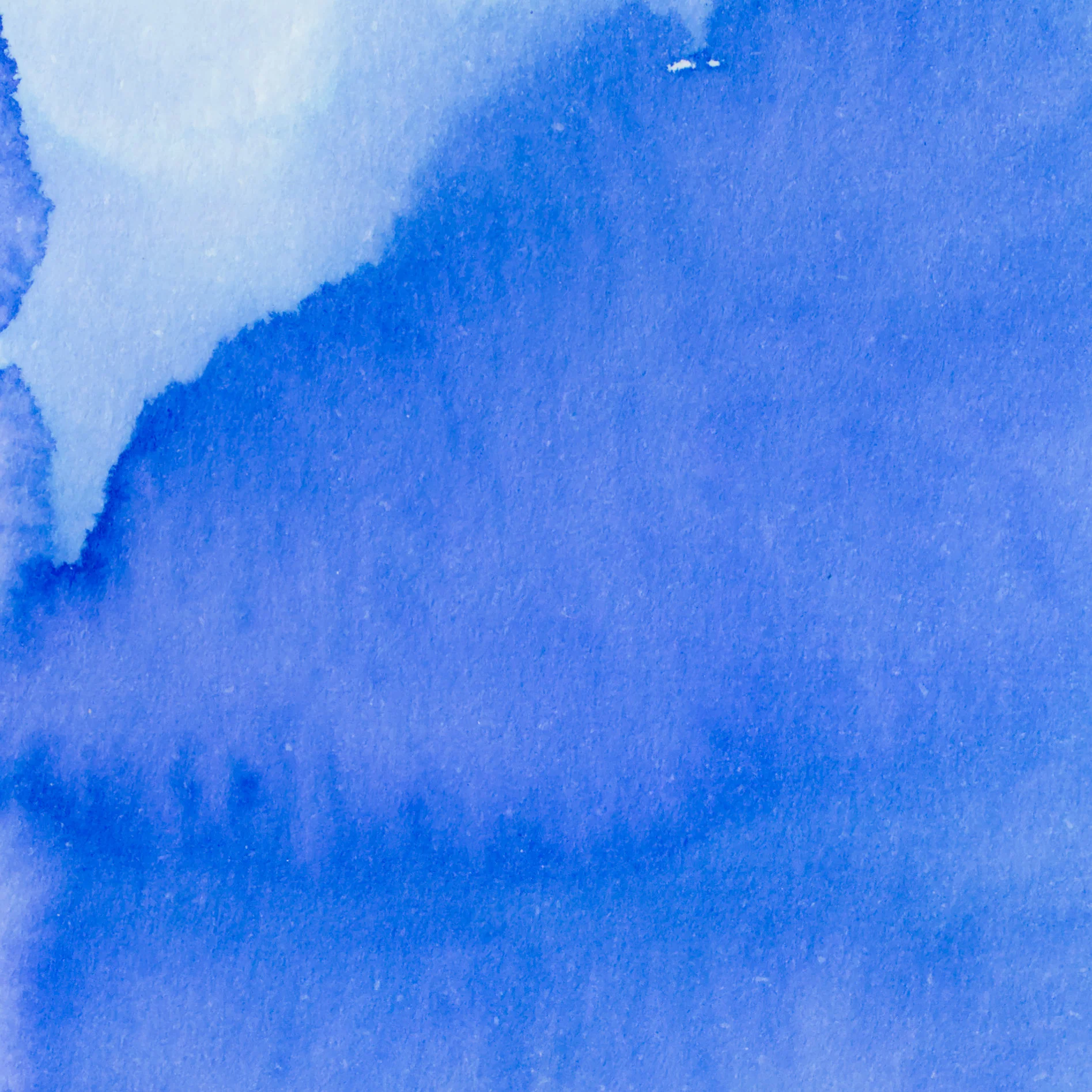 Pennonia Hajnal Dawn - Image 2