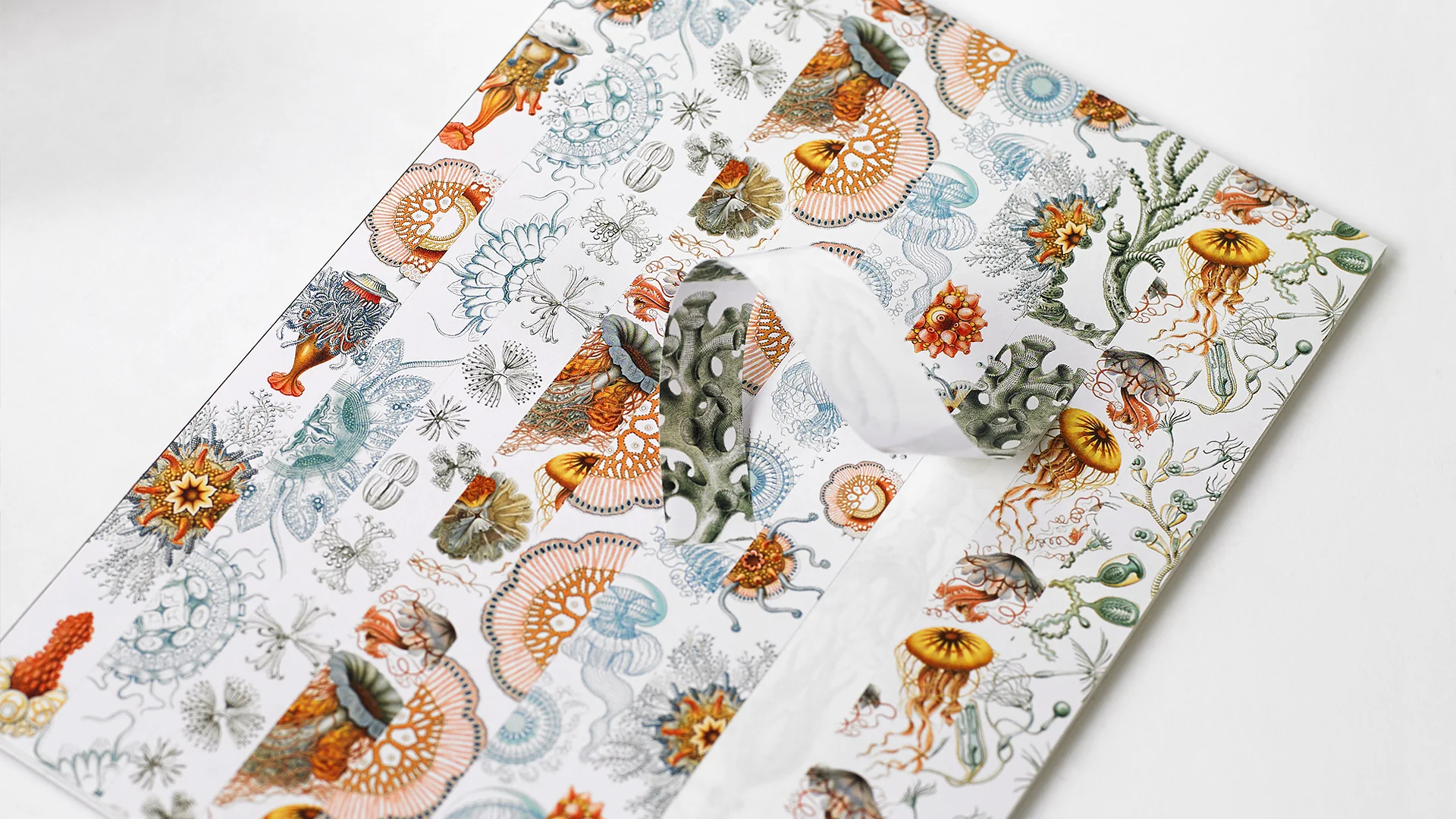 Pepin Label, Sticker & Tape Book - Art Forms In Nature - Image 2