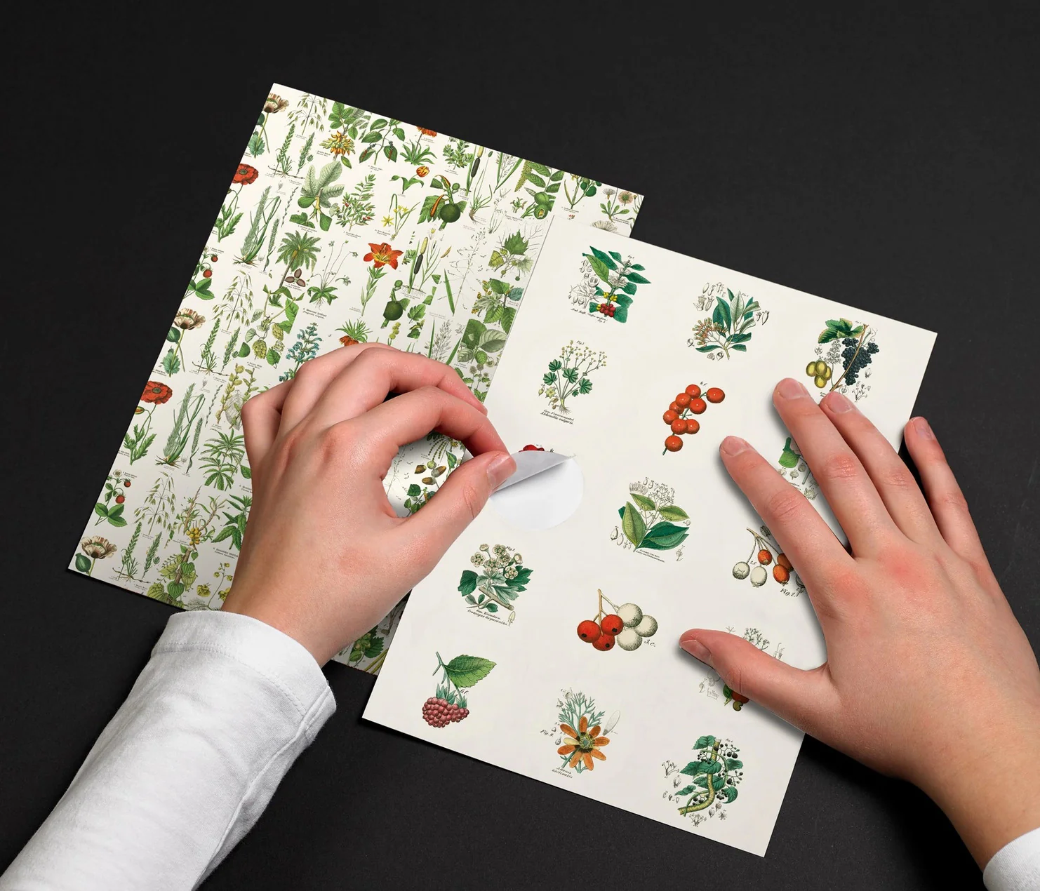 Pepin Label, Sticker & Tape Book - Flora - Image 3