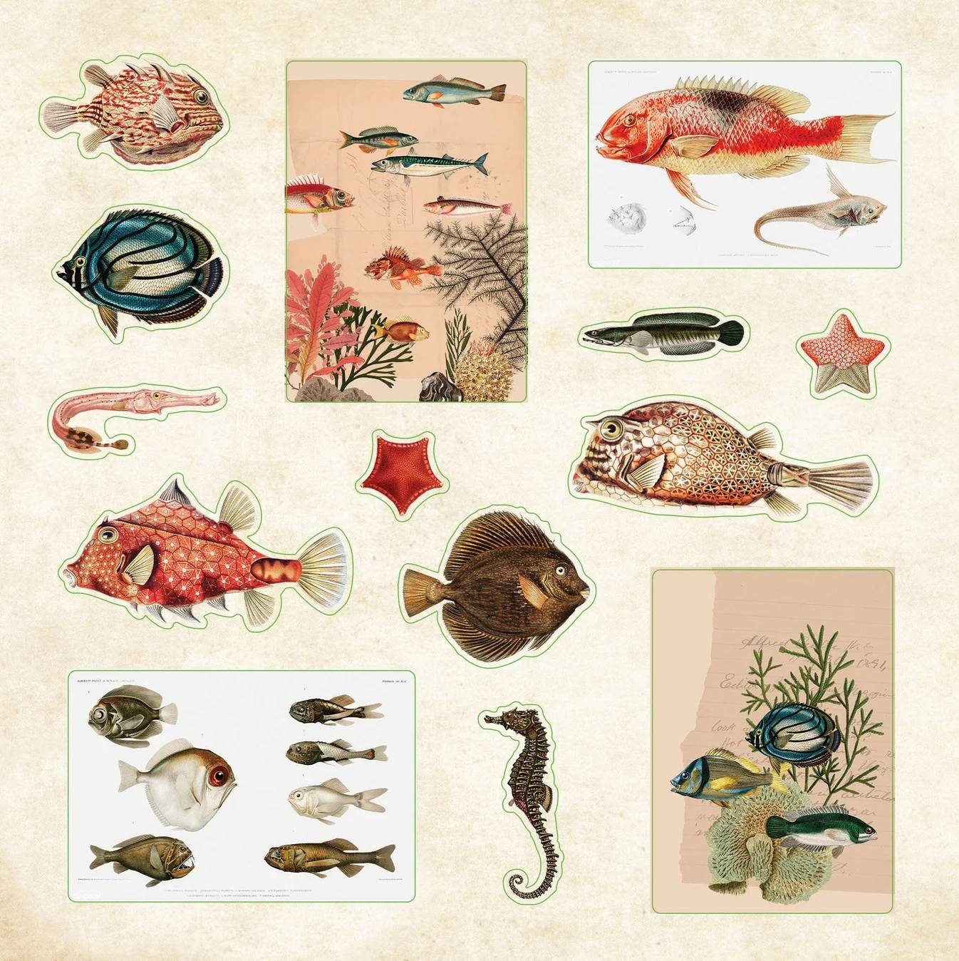 Peter Pauper Press - Poseidon's Kingdom Sticker Book - Image 5