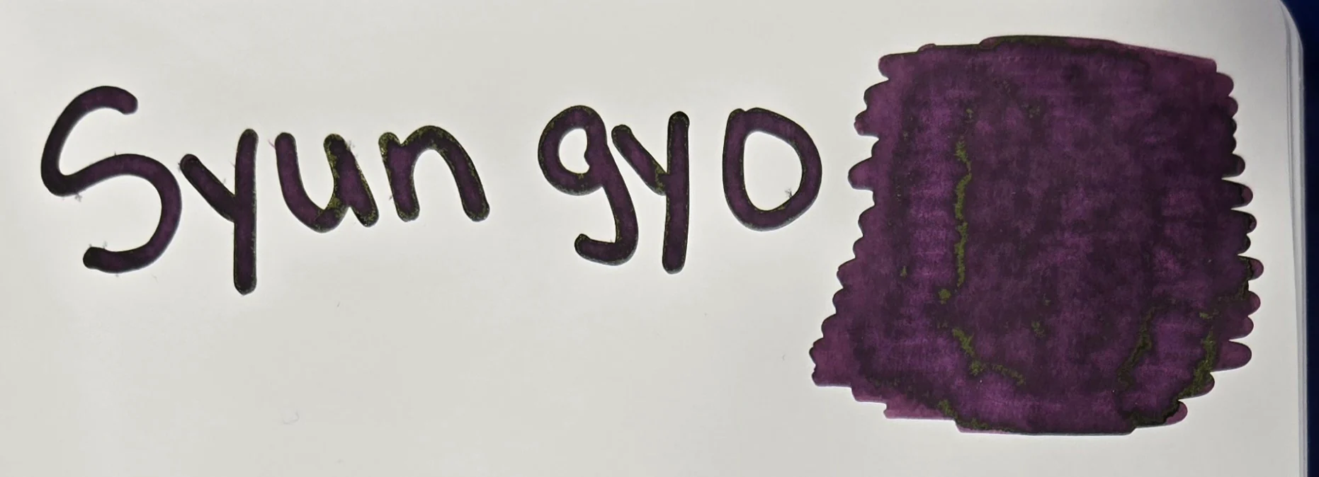 Pilot Iroshizuku Syun-gyo Ink - Image 4