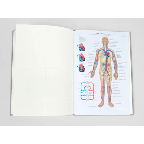 Princeton Architectural Press - Grids & Guides - Image 4