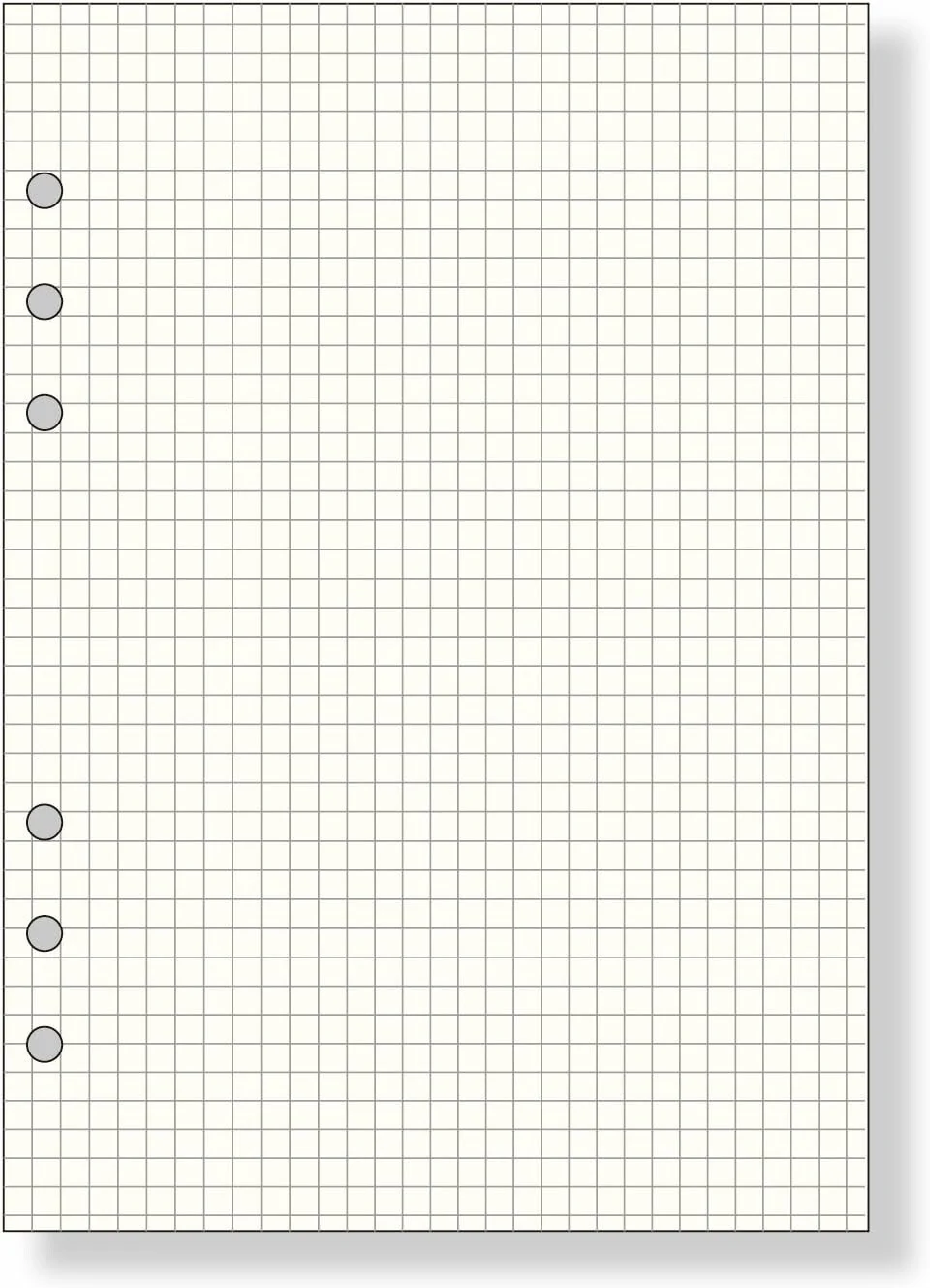 Raymay Davinci Note Refills A5 - 5mm Grid