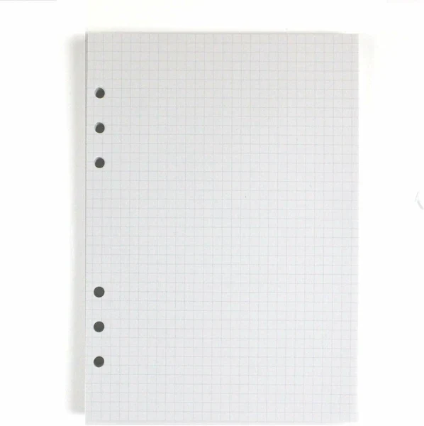 Raymay Davinci Note Refills A5 - Economy White Grid - Image 2