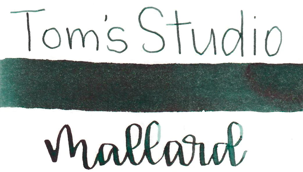 Tom's Studio - Mallard #07