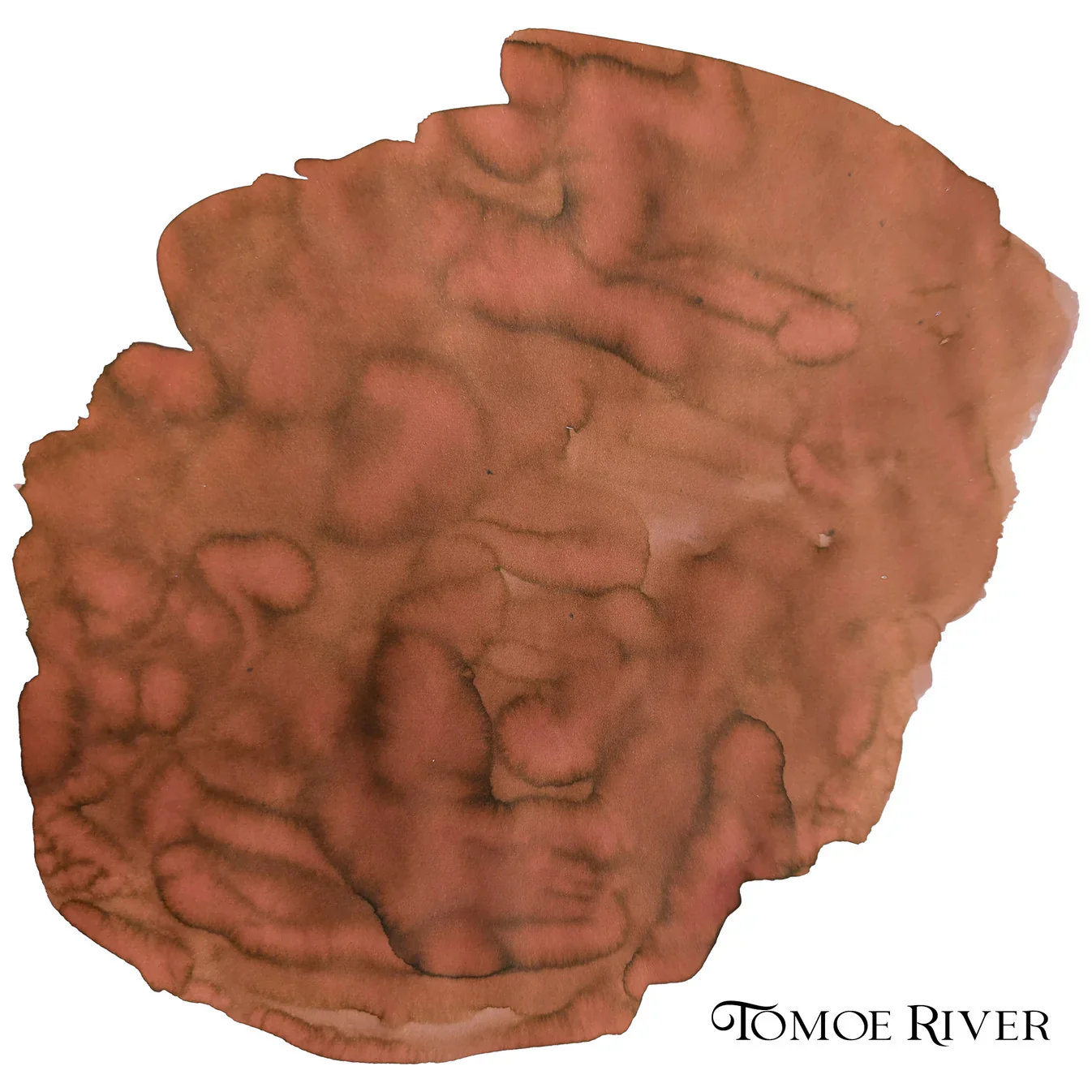 Van Dieman's Explorers - Dr. David Livingstone - Image 4