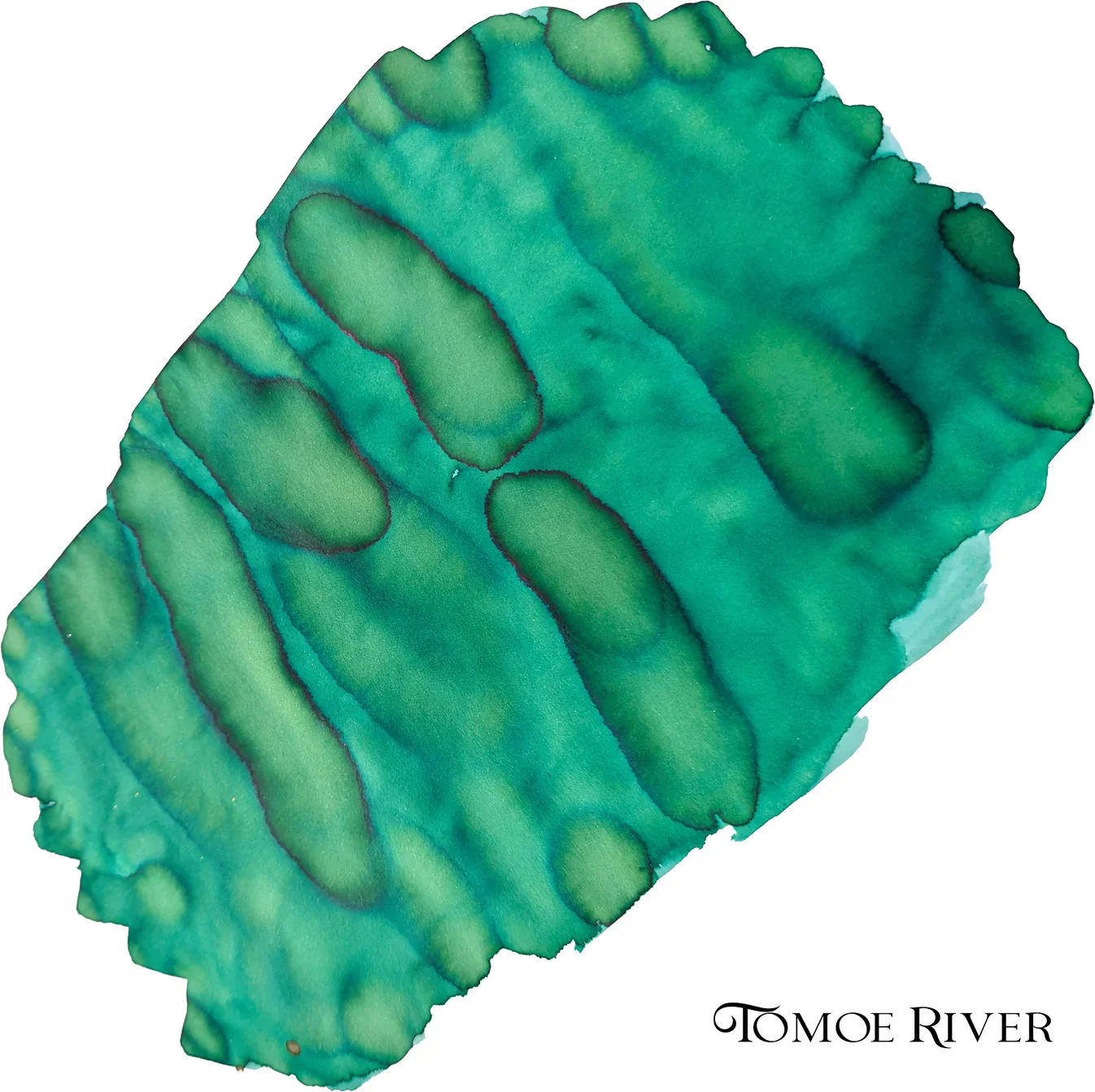 Van Dieman's Explorers - Marco Polo - Image 3