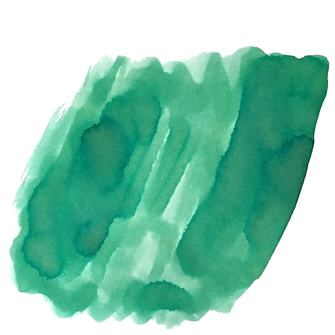 Van Dieman's Feline - Catnip - Image 4