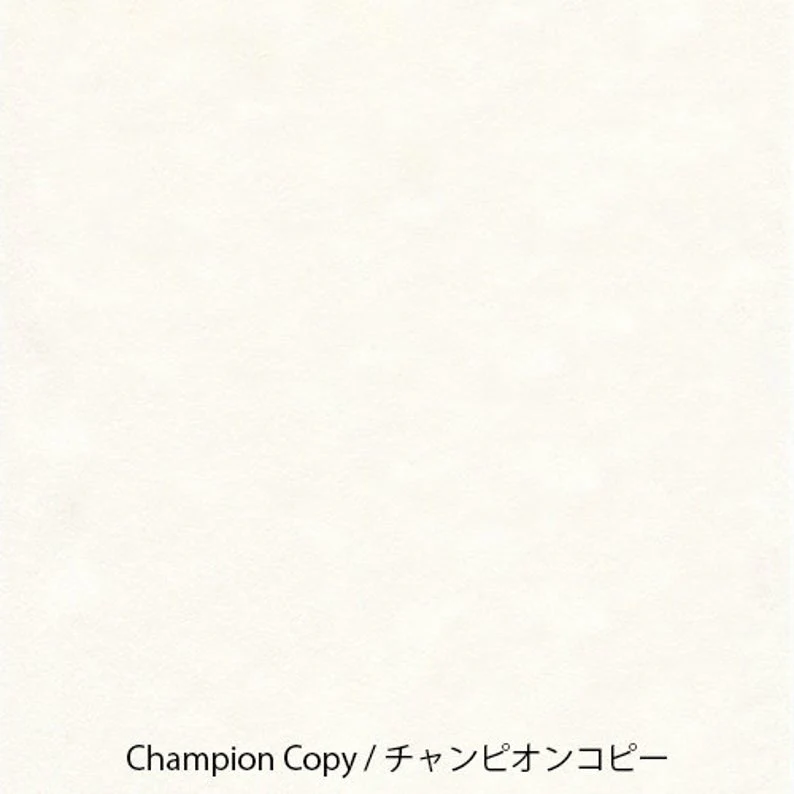Yamamoto Paper Champion Copy A4 Loose Leaf 50 Sheets - Image 2